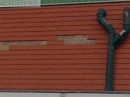 Tijoleira alheta vermelha