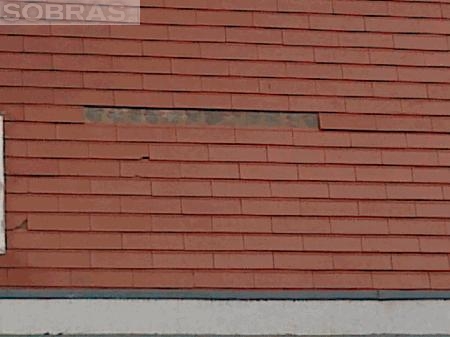 Tijoleira alheta vermelha