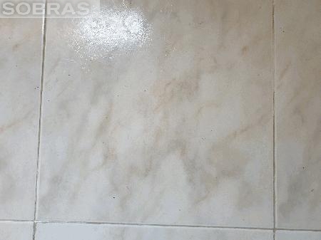 Mosaico